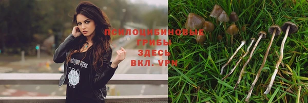 МДПВ Верея