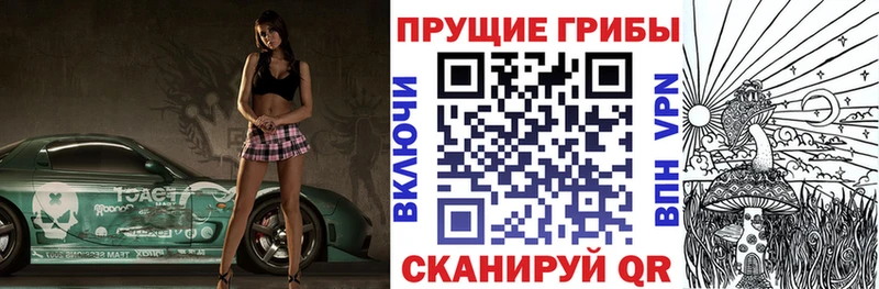 Псилоцибиновые грибы Cubensis наркошоп Брянск